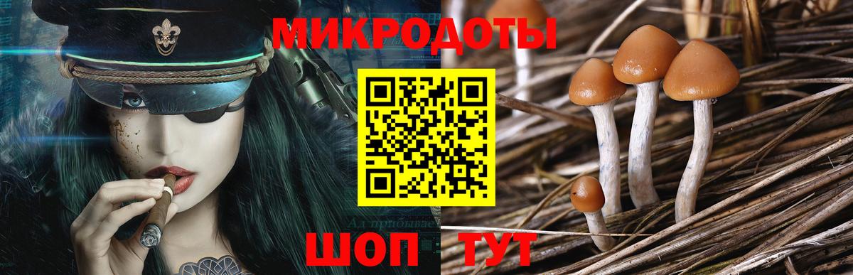 Галлюциногенные грибы Cubensis Глазов