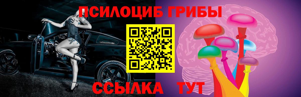 Глазов  Псилоцибиновые грибы GOLDEN TEACHER  Вход с VPN 